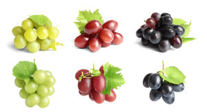 Wine grapes